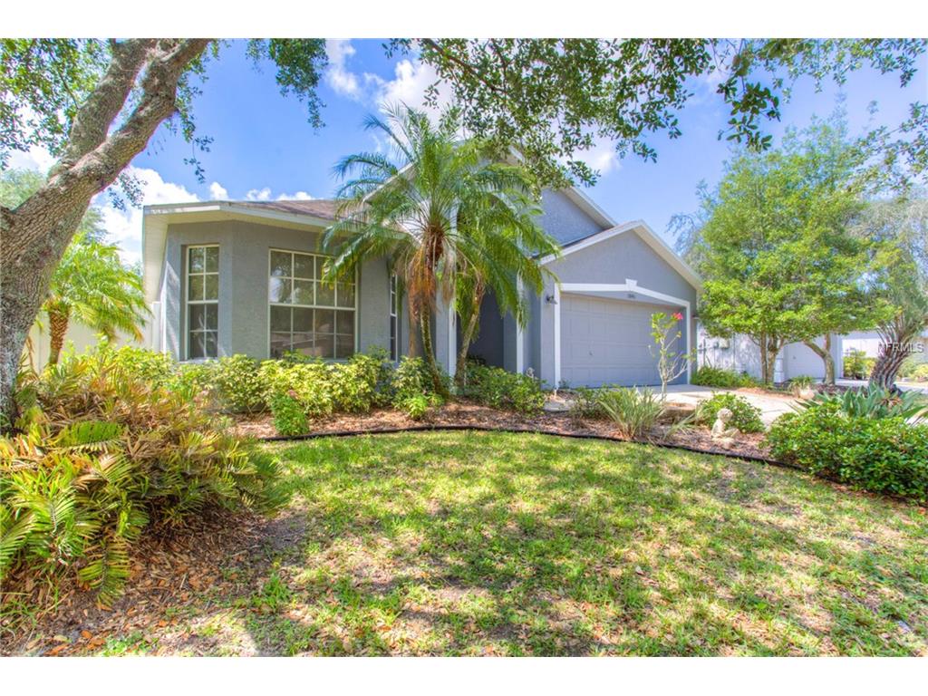 3845 Bellewater, Riverview, FL 33569 photo 1
