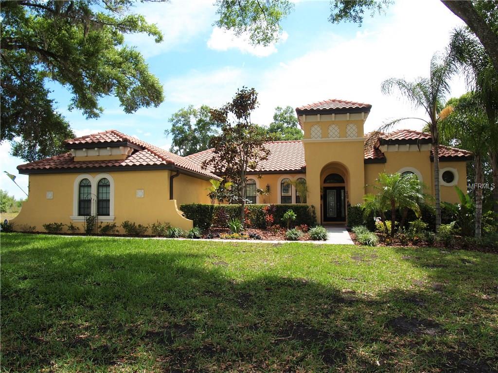 9809 Palazzo St, Seffner, FL 33584 photo 1