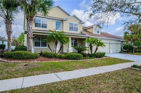 11104 Stone Branch Dr, Riverview, FL 33569 photo 1