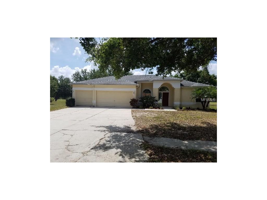 11225 Longbrooke Dr, Riverview, FL 33579 photo 1