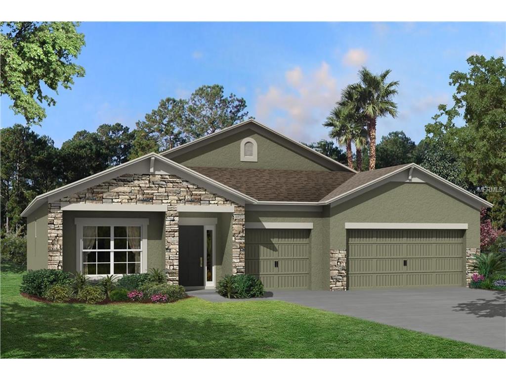 18763 Rococo Rd, Spring Hill, FL 34610 photo 1