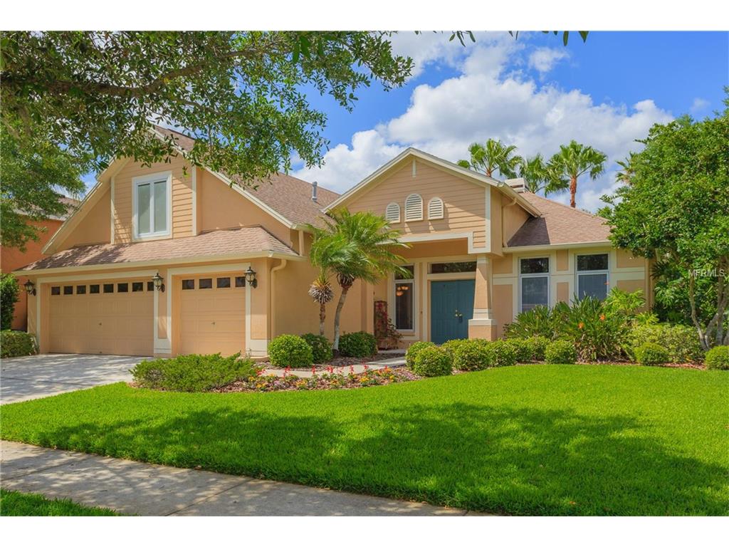 15020 Heronglen Dr, Lithia, FL 33547 photo 1