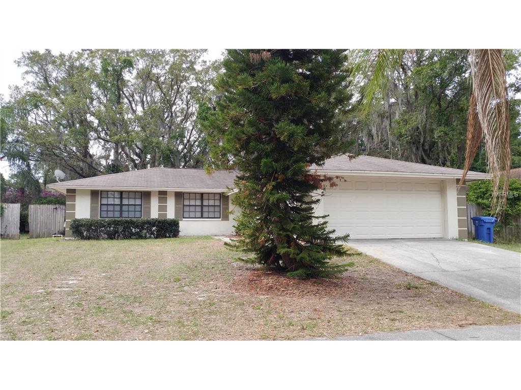705 Isleton Dr, Brandon, FL 33511 photo 1