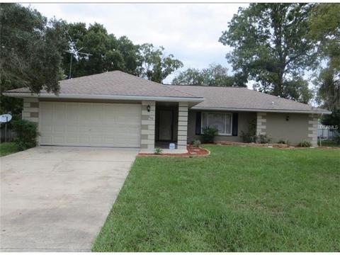 290 Plumtree Ave, Spring Hill, FL 34606 photo 1
