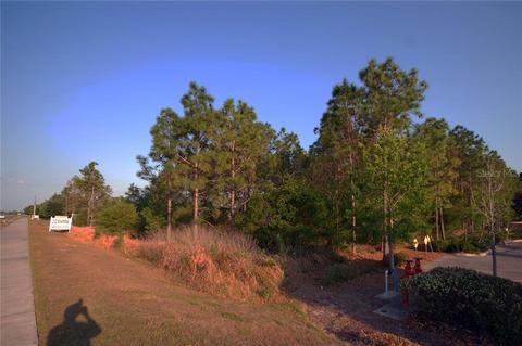 30150 Overpass Rd, Wesley Chapel, FL 33545