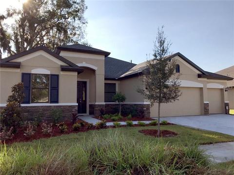 11032 Brahman Ranch Cir, Riverview, FL 33578 photo 1