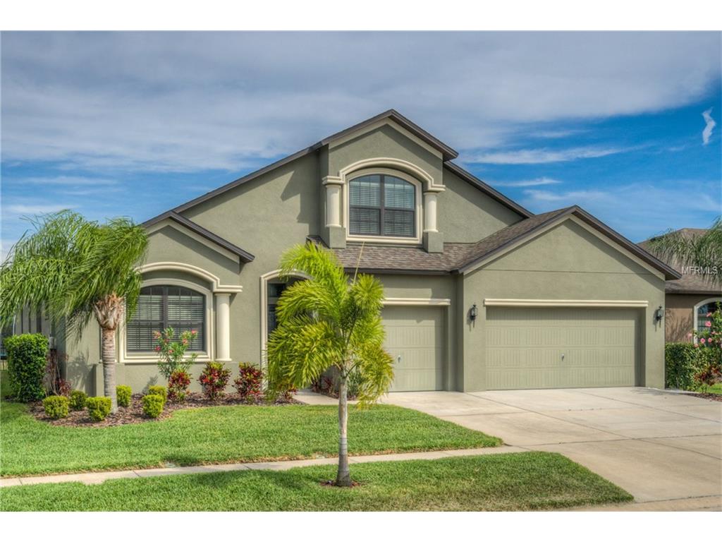 310 Star Shell Dr, Apollo Beach, FL 33572 photo 1