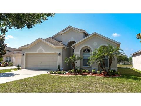 11115 Silver Dancer Dr, Riverview, FL 33579 photo 1