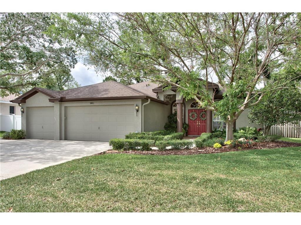 18411 Bittern Ave, Lutz, FL 33558 photo 1