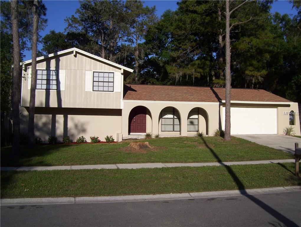 3708 Casaba Loop, Valrico, FL 33596 photo 1