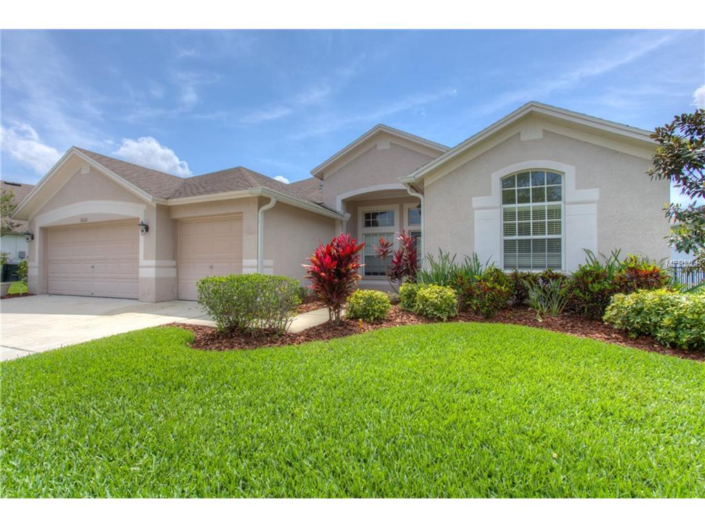 16122 Bridgepark Dr, Lithia, FL 33547 photo 1