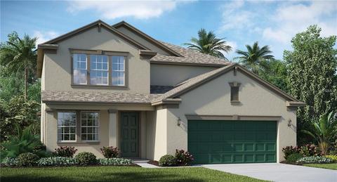 11706 Winterset Cove Dr, Riverview, FL 33579 photo 1