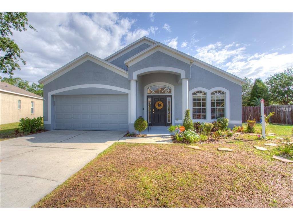 13224 Cherry Bark Cir, Riverview, FL 33579 photo 1
