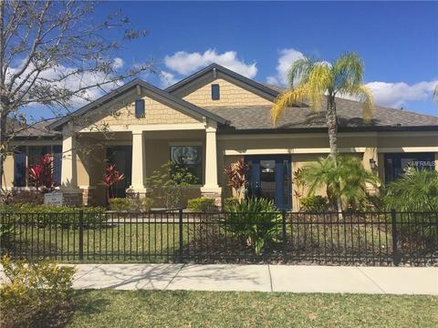 11622 Iris Spring Ct, Riverview, FL 33579 photo 1