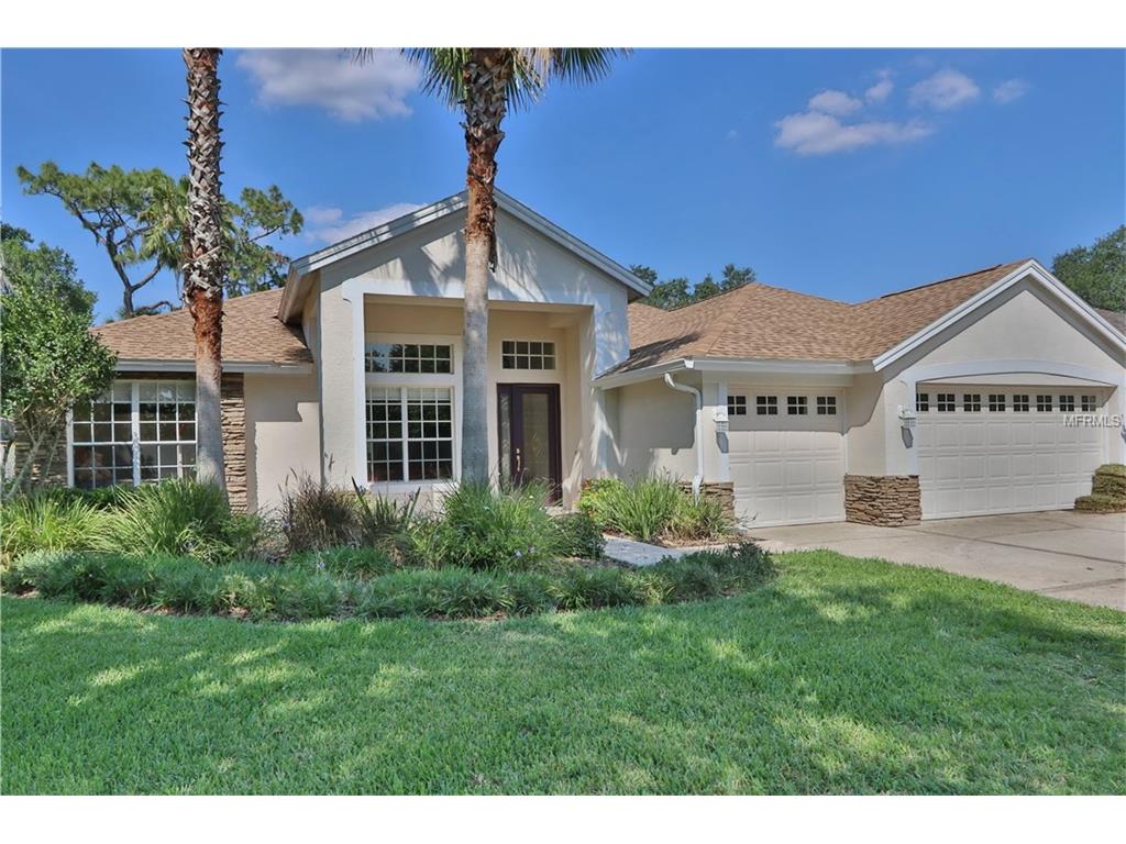 5908 Cherry Oak Dr, Valrico, FL 33596 photo 1