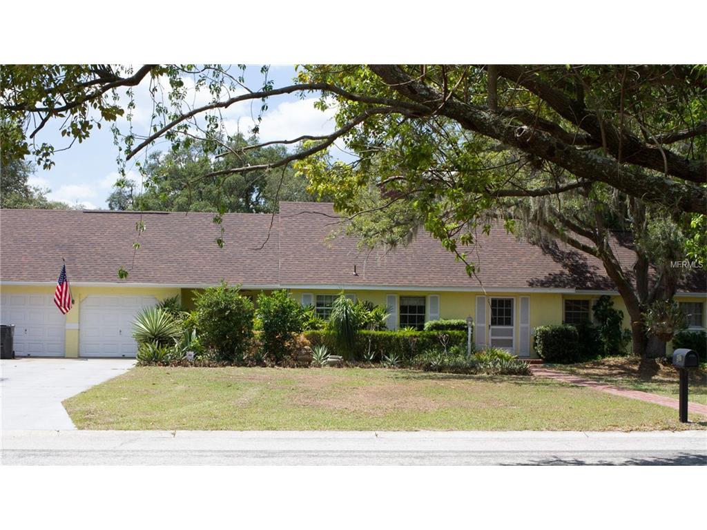 507 Clarissa Dr, Brandon, FL 33511 photo 1