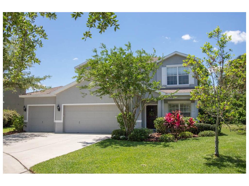 16227 Bridgepark Dr, Lithia, FL 33547 photo 1