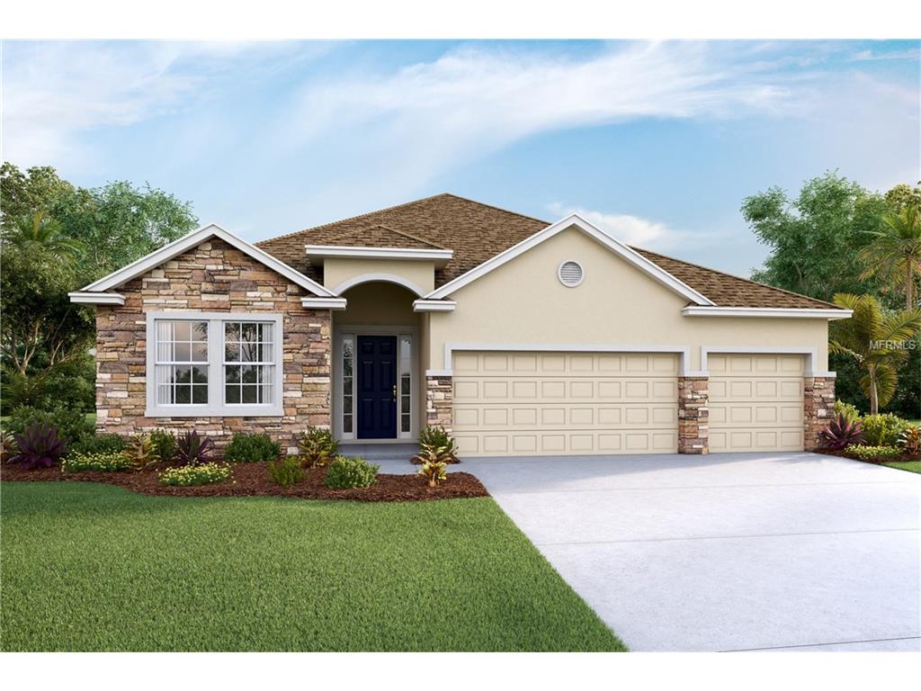 15025 Trinity Fall Way, Bradenton, FL 34212 photo 1