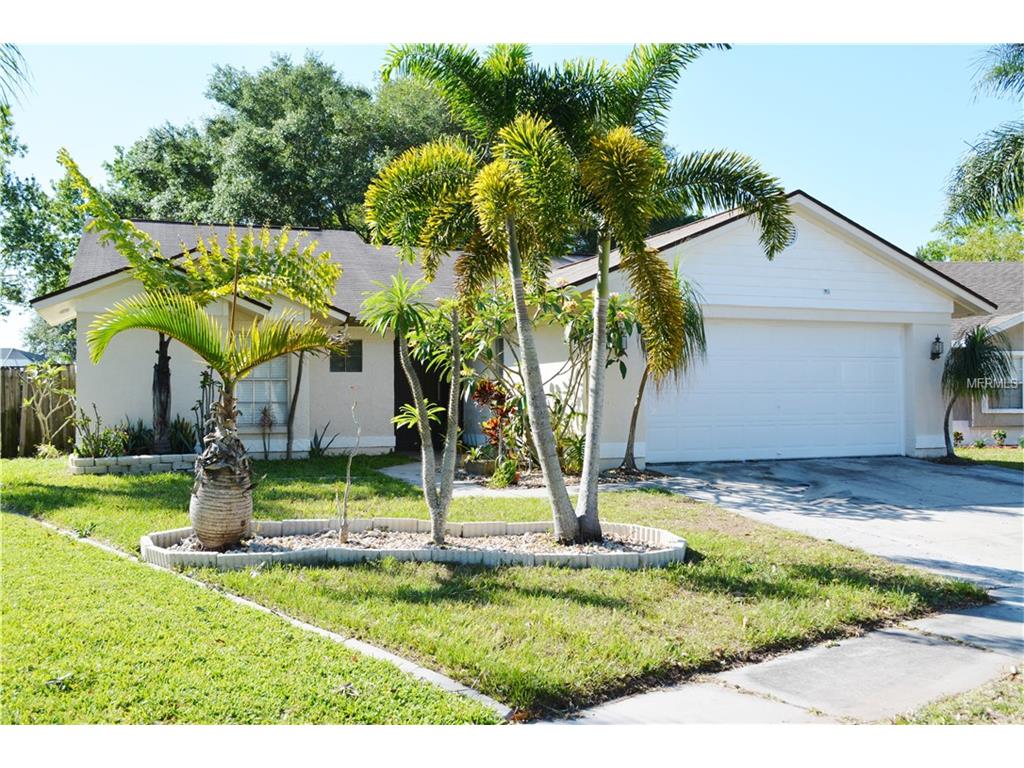 11835 Cedarfield Dr, Riverview, FL 33579 photo 1