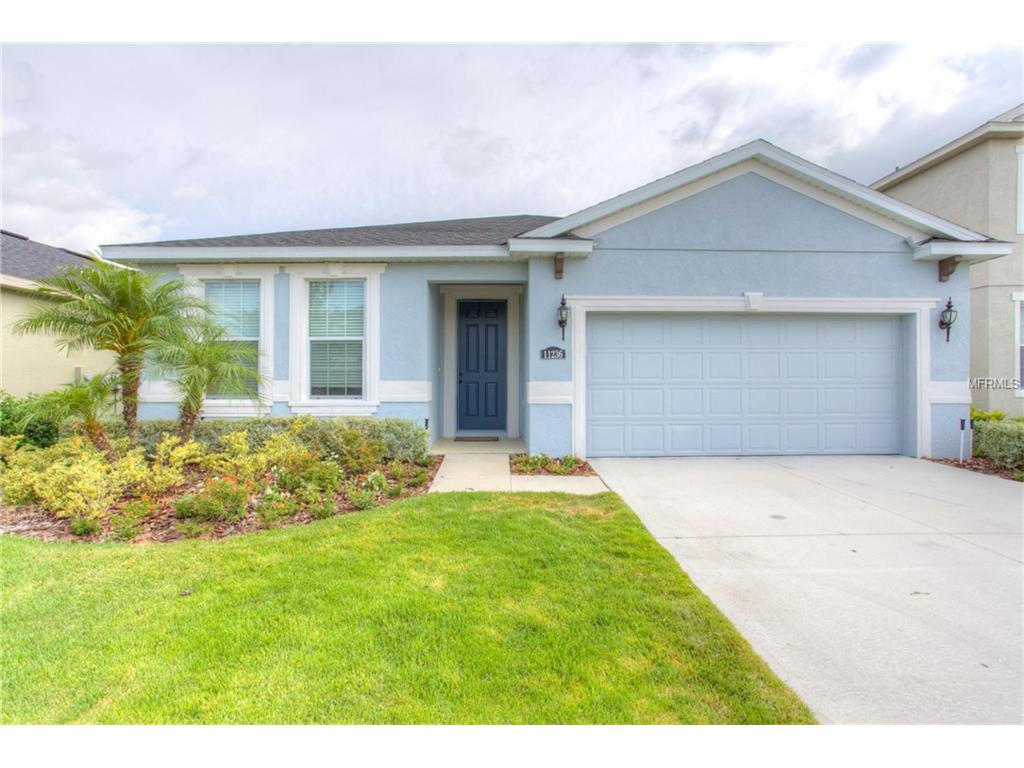 11236 Spring Point Cir, Riverview, FL 33579 photo 1