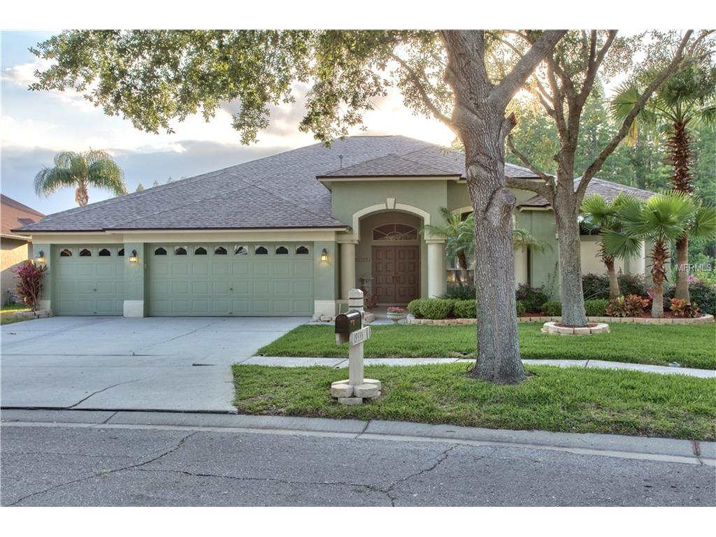 19335 Wind Dancer St, Lutz, FL 33558 photo 1
