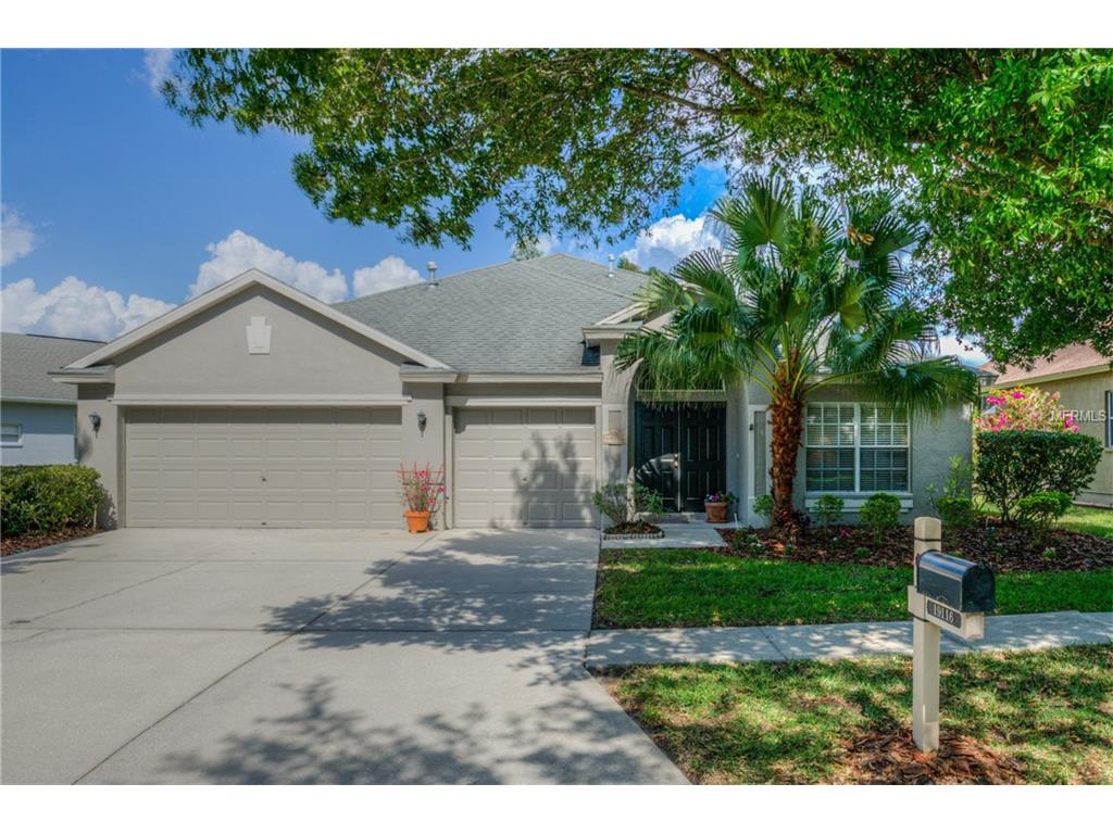 19116 Wind Dancer St, Lutz, FL 33558 photo 1