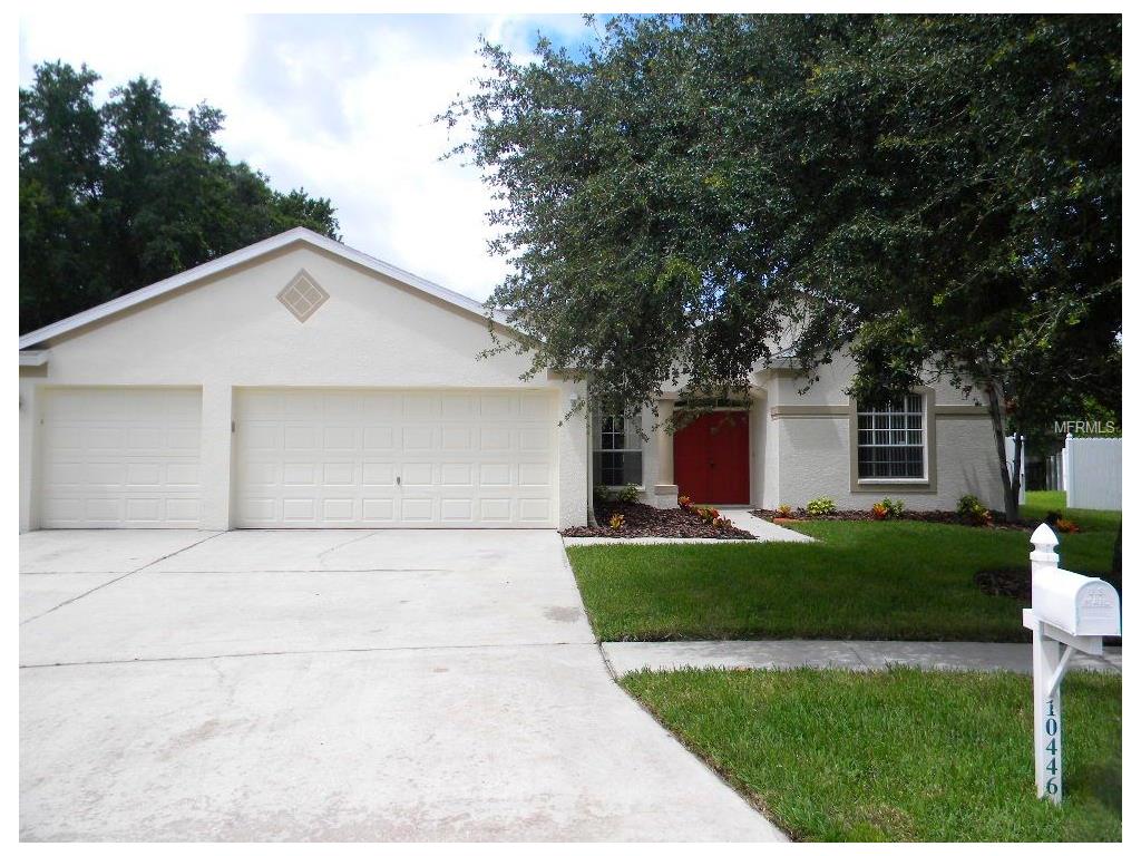 10446 Ashley Oaks Dr, Riverview, FL 33578 photo 1
