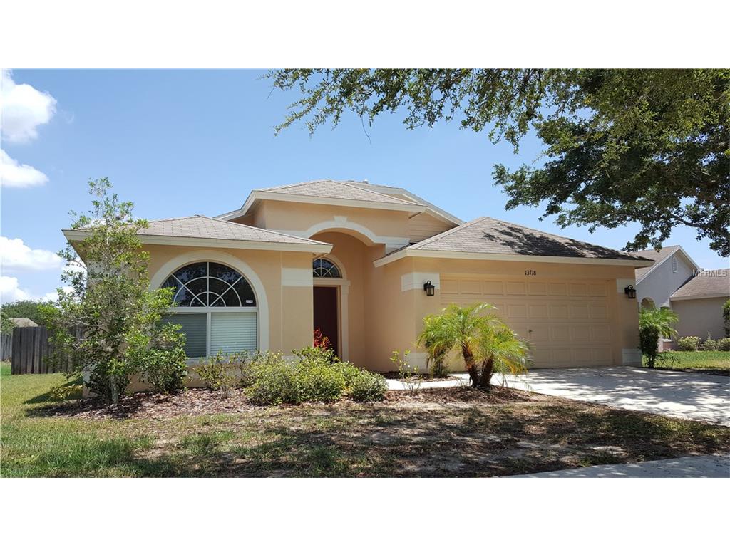 13718 Ogakor Dr, Riverview, FL 33579 photo 1