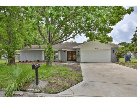 26752 Hickory Loop, Lutz, FL 33559 photo 1