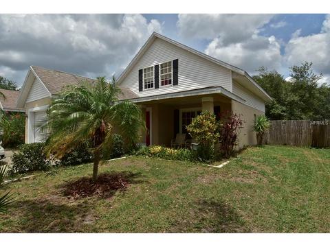 10223 Summerview Cir, Riverview, FL 33578 photo 1