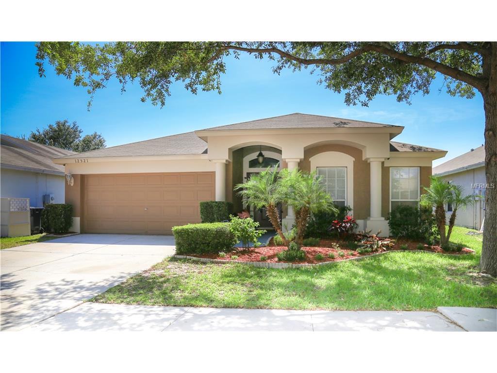 12521 Herons Path Pl, Riverview, FL 33578 photo 1