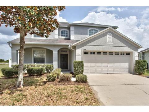 11209 Denmore Ln, Riverview, FL 33579 photo 1