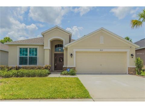 8719 Deep Maple Dr, Riverview, FL 33578 photo 1