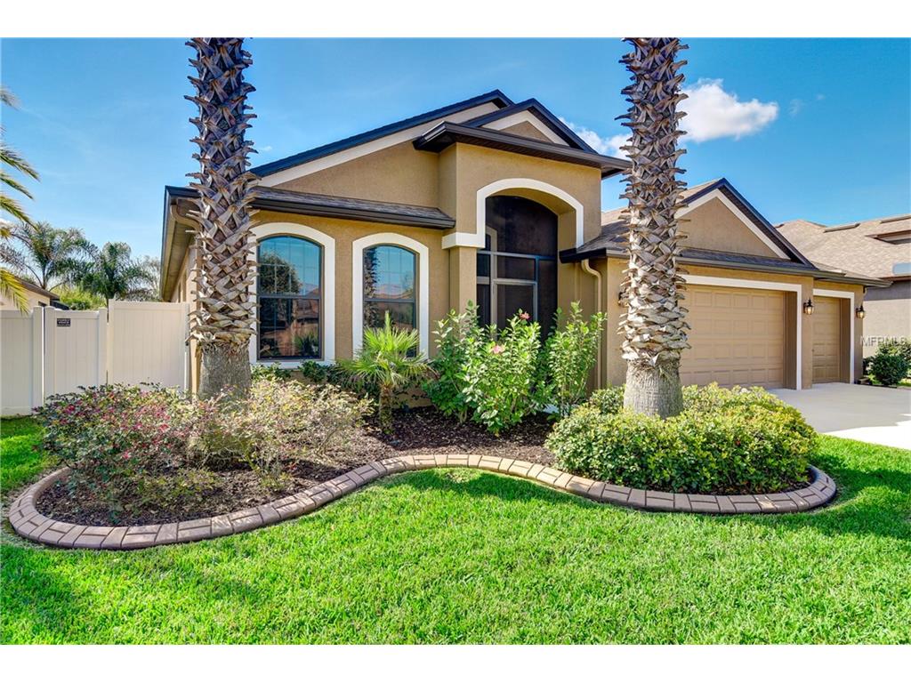 8424 White Poplar Dr, Riverview, FL 33578 photo 1