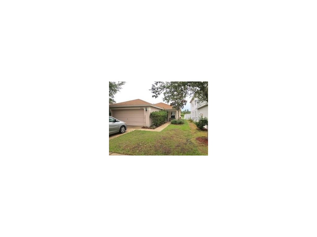 13618 Silver Charm Ct, Riverview, FL 33579 photo 1