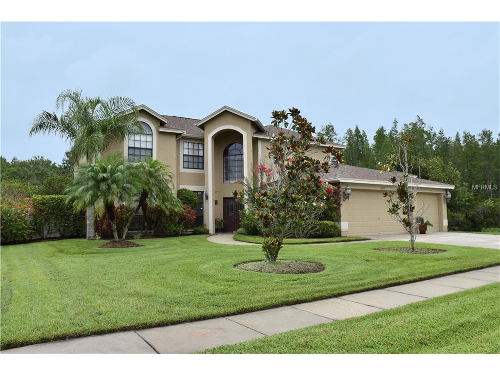 18210 Bittern Ave, Lutz, FL 33558 photo 1