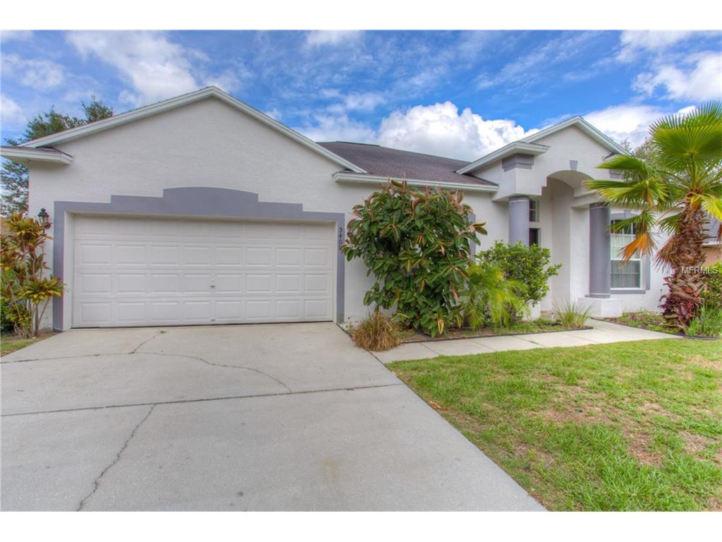 5408 Chenault Pl, Riverview, FL 33578 photo 1