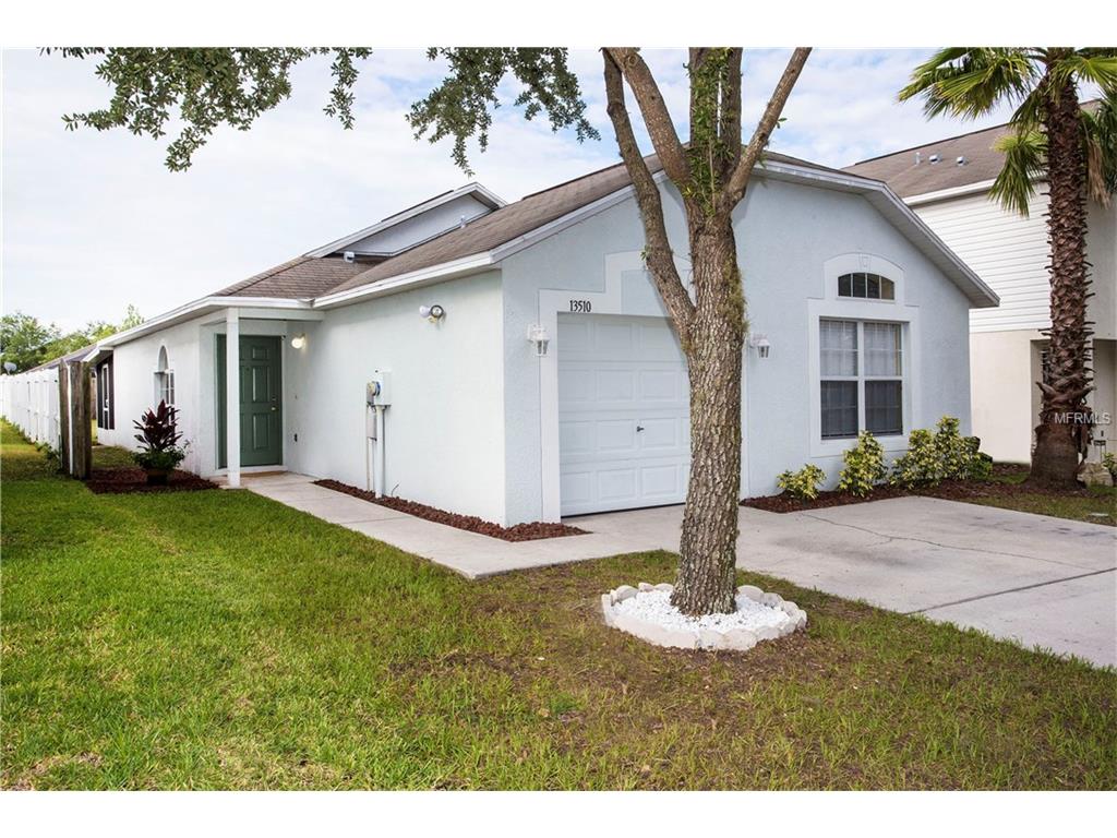 13510 Padron Ct, Riverview, FL 33579 photo 1