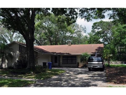 17505 Meadowbridge Dr, Lutz, FL 33549 photo 1