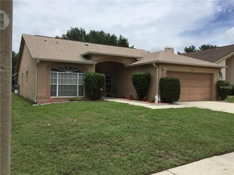 13453 Beechberry Dr, Riverview, FL 33579 photo 1