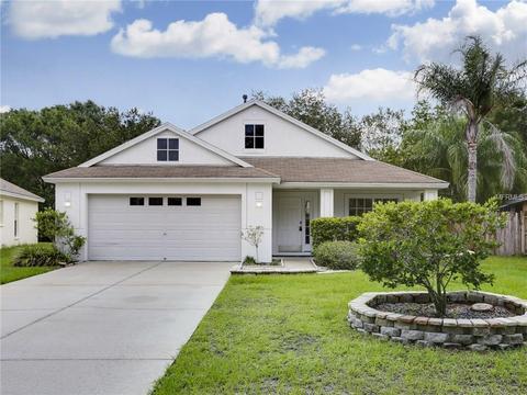 6246 Crickethollow Dr, Riverview, FL 33578 photo 1