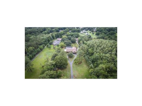 19506 Pine Tree Rd, Odessa, FL 33556 photo 1