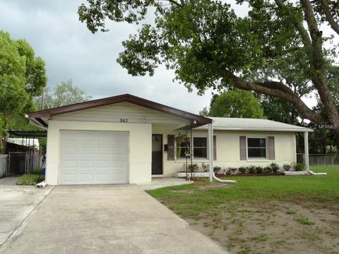 207 Cranberry Ln, Brandon, FL 33510 photo 1