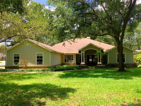 18202 Fox Trace Ct, Lutz, FL 33549 photo 1
