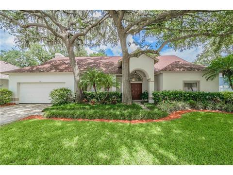 3911 Northridge Dr, Valrico, FL 33596 photo 1