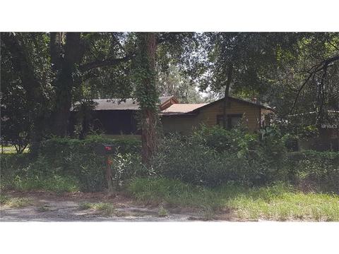 441 Sydney Washer Rd, Dover, FL 33527 photo 1