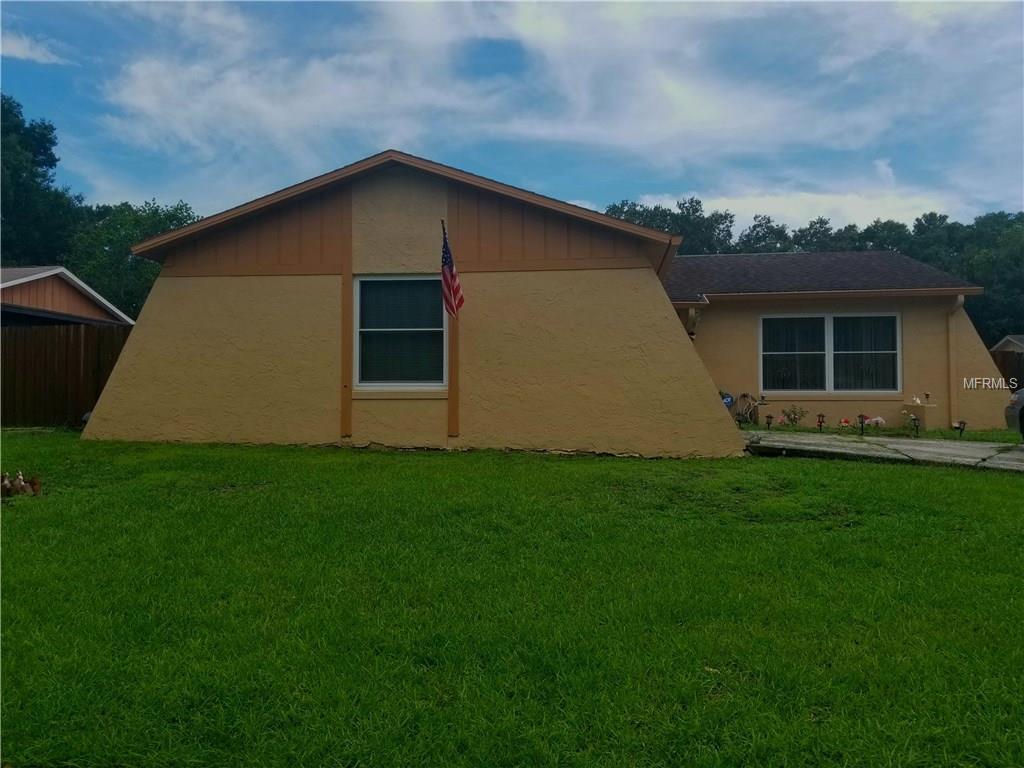 1116 Tiburon Dr, Seffner, FL 33584 photo 1