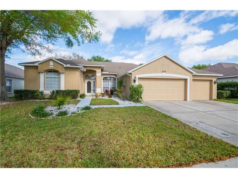9230 Hidden Water Cir, Riverview, FL 33578 photo 1