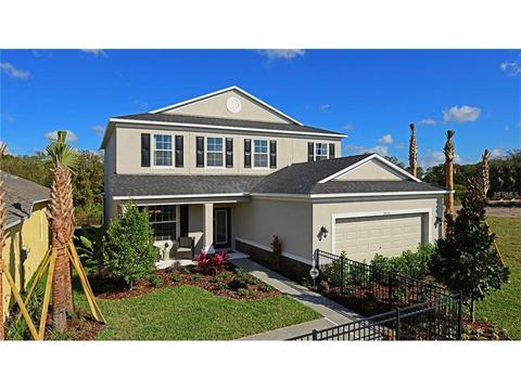 8220 Willow Beach Dr, Riverview, FL 33578 photo 1