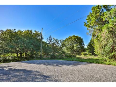 402 River Bed Ct, Wimauma, FL 33598 photo 1